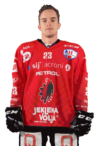 Hockey Hokej Sticker by HDD SIJ Acroni Jesenice