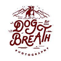 dogbreathphoto dog dogs dogbreath kayleegreer Sticker
