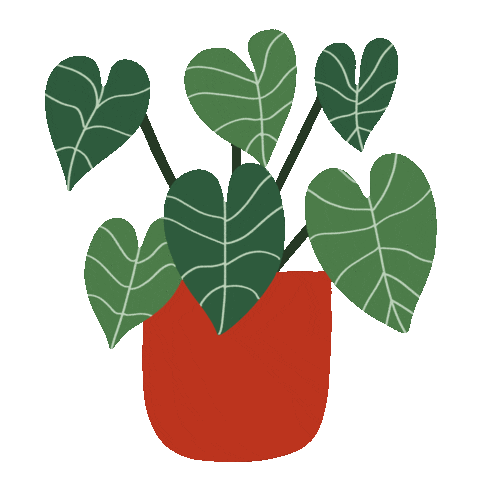Instagram Plant Sticker