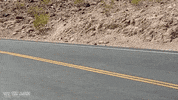 car dodge GIF by Off The Jacks