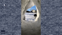 Dogs Explore Family's Igloo Snow Fort in Alberta