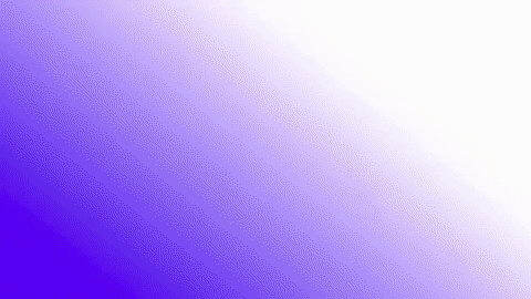 KiwiKurt9 giphyupload GIF