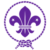 boy scouts scout Sticker by World Scouting