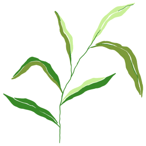 Spring Plant Sticker