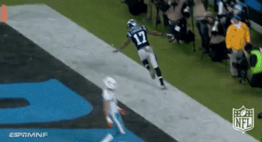 carolina panthers football GIF by NFL