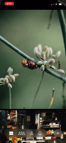 designdetails ios glass GIF