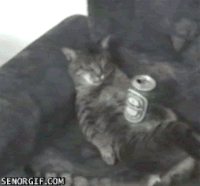 nap GIF