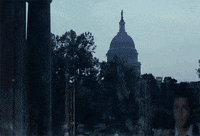 politics washington GIF by University of Alaska Fairbanks