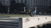 Skate Dc GIF by New Balance Numeric