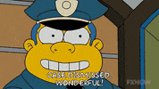 Episode 4 GIF by The Simpsons