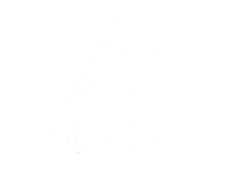 Alphacheer Sticker by Alpha Athletics Cheer