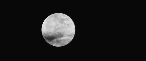 Full Moon Night GIF