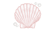 Summer Seashell Sticker by Mallory Ervin