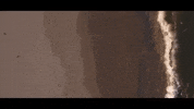new jersey GIF