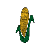 Corn Sticker by Wyffels Hybrids