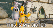 GIF by Angry Birds Movie