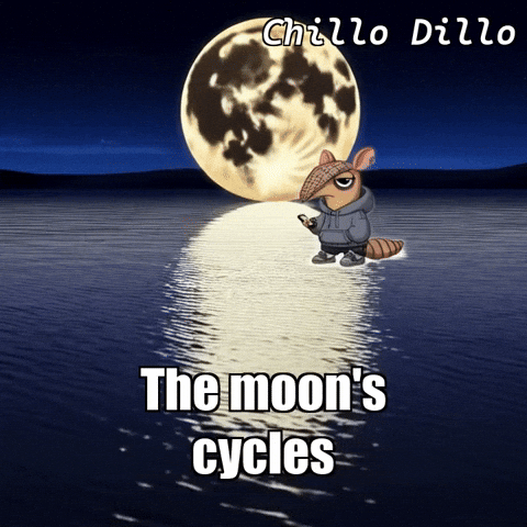 GIF by Chillo Dillo