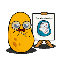 Study Studying Sticker by lilpotates