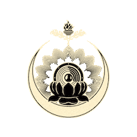 Festival Obey Sticker by DWP