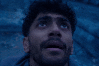 Pariey GIF