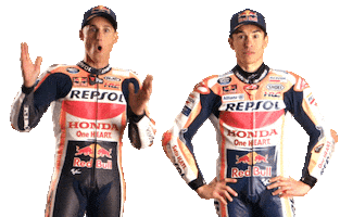 Honda Celebration Sticker by Box Repsol