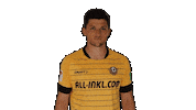 Bundesliga Celebrate Sticker by SG Dynamo Dresden