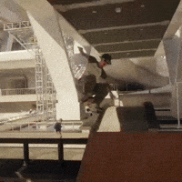 Skate Skateboard GIF