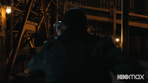 Crime Fighters Superhero GIF by HBO Max