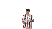 Tricolores Kingside Sticker by Willem II