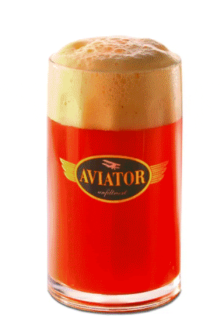 airbraeu beer craftbeer handcrafted aviator GIF