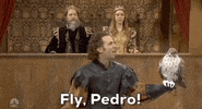 Medieval Times Snl GIF by Saturday Night Live