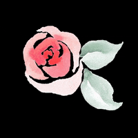 PleasantlyCrafted pleasantly crafted pleasantlycrafted samantha bender samanthabender GIF