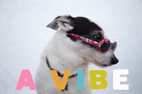 profedcreditunion  GIF
