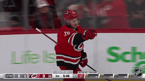 Happy Carolina Hurricanes GIF by NHL