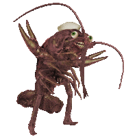 excited dance Sticker by Colin Raff