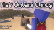 Bercooll GIF