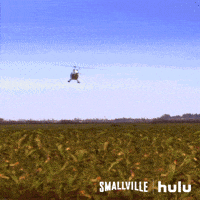 clark kent superman GIF by HULU