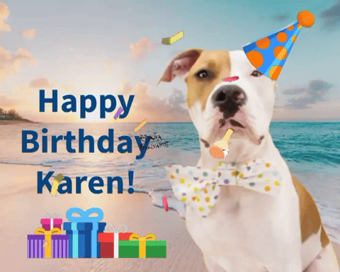 janellegiese giphyattribution GIF