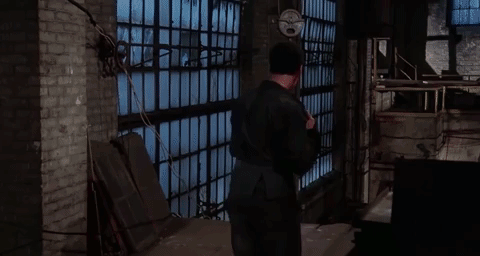 kung fu fight GIF