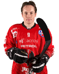 Steelers Sticker by HDD SIJ Acroni Jesenice