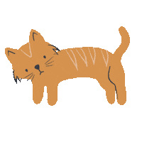 Cat Sticker by The Honest Company