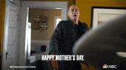 Season 2 Nbc GIF by Law & Order