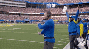 Los Angeles Rams Football GIF by NFL