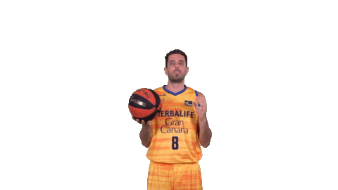 Liga Endesa Basketball Sticker by ACB