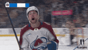 Happy Stanley Cup GIF by NHL