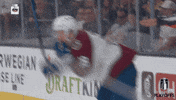 Happy Stanley Cup GIF by NHL