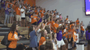 go tigers dancing GIF by Clemson Tigers