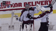 2019 stanley cup playoffs love GIF by NHL