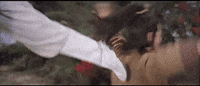 martial arts venom mob GIF by Shaw Brothers