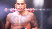 ufc 206 GIF